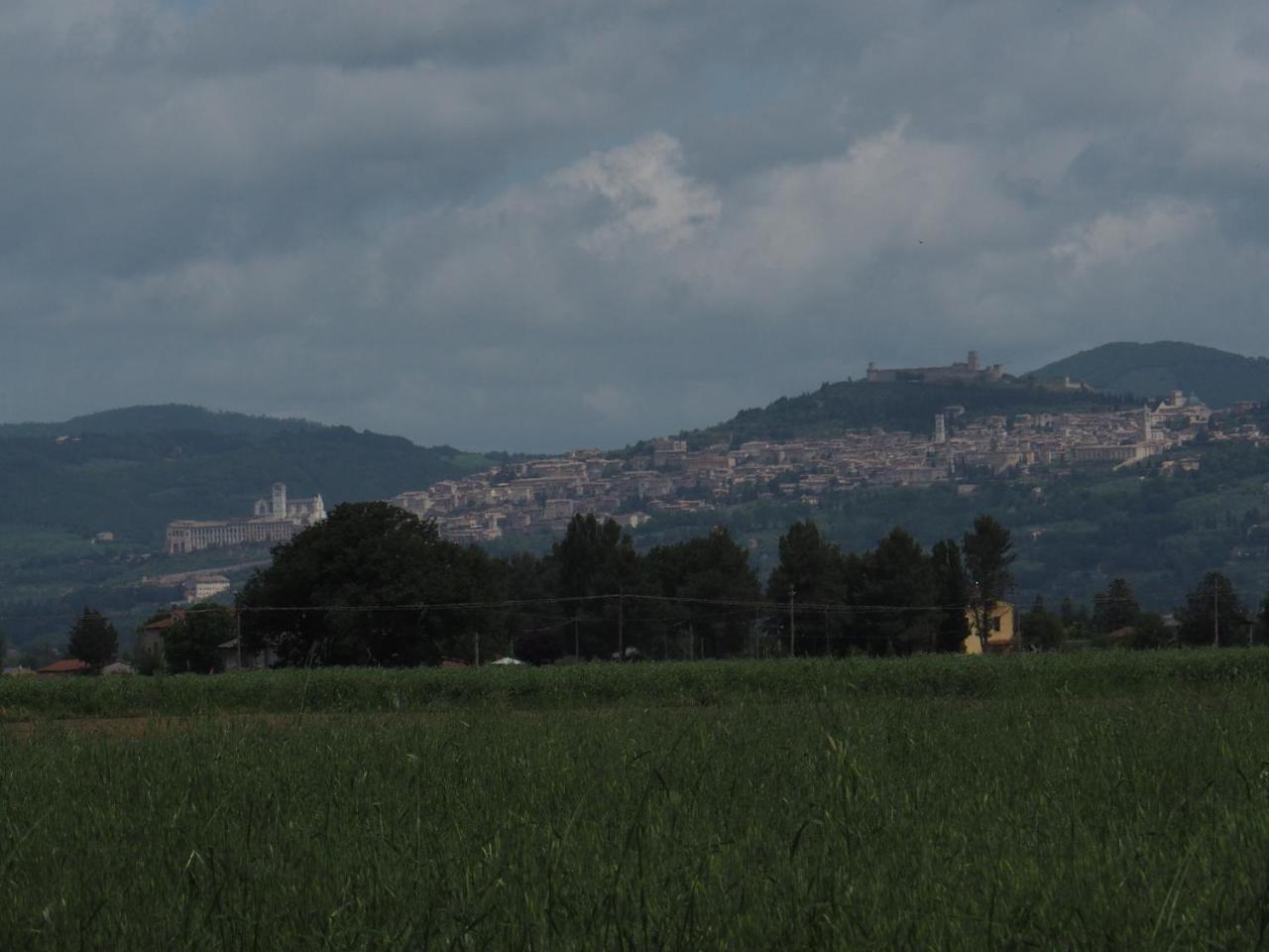 스펠로 Agriturismo La Semente 빌라 외부 사진